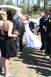 IMG_2529